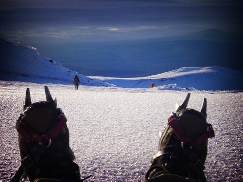 summit-crampons-01